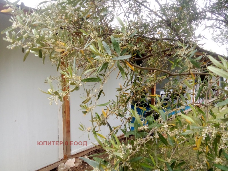 Продава 2-СТАЕН, Извън страната, област Извън страната, снимка 15 - Апартаменти - 52808518