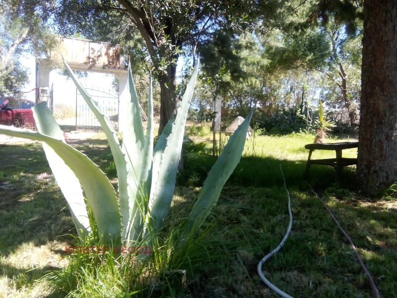 Продава 2-СТАЕН, Извън страната, област Извън страната, снимка 13 - Апартаменти - 52808518