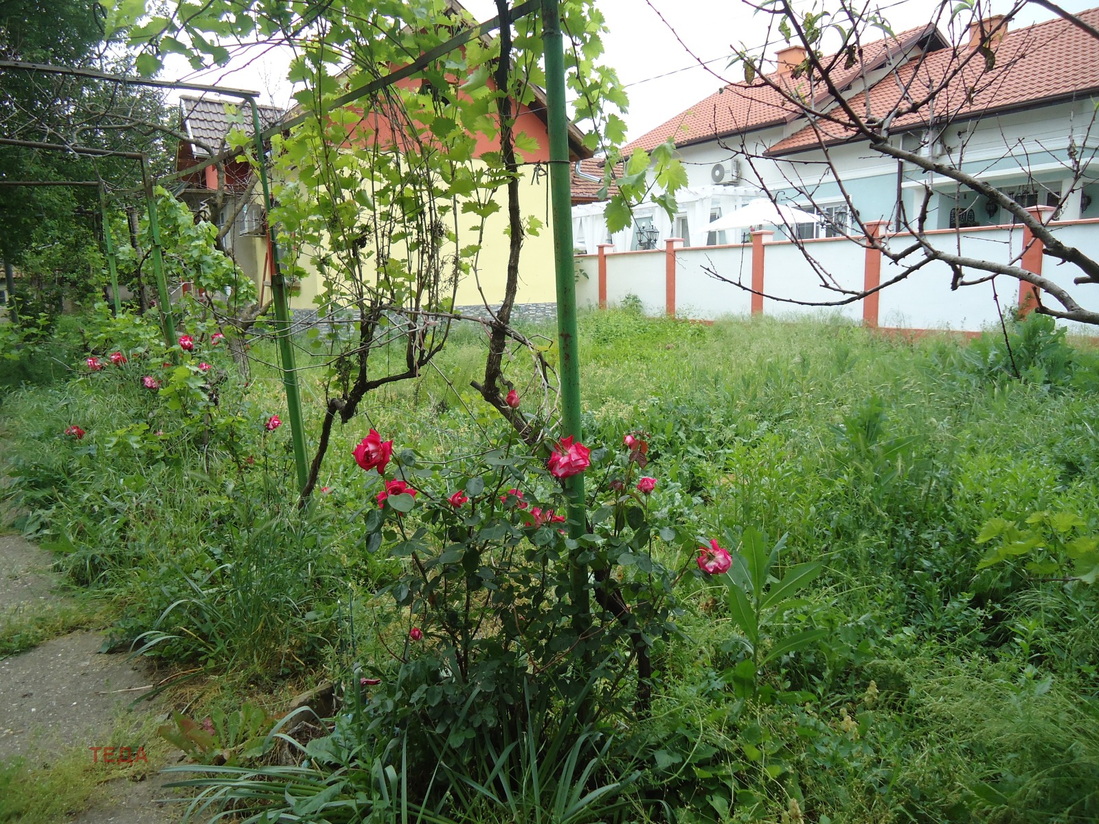 Продава КЪЩА, гр. Бяла Слатина, област Враца, снимка 2 - Къщи - 54594230