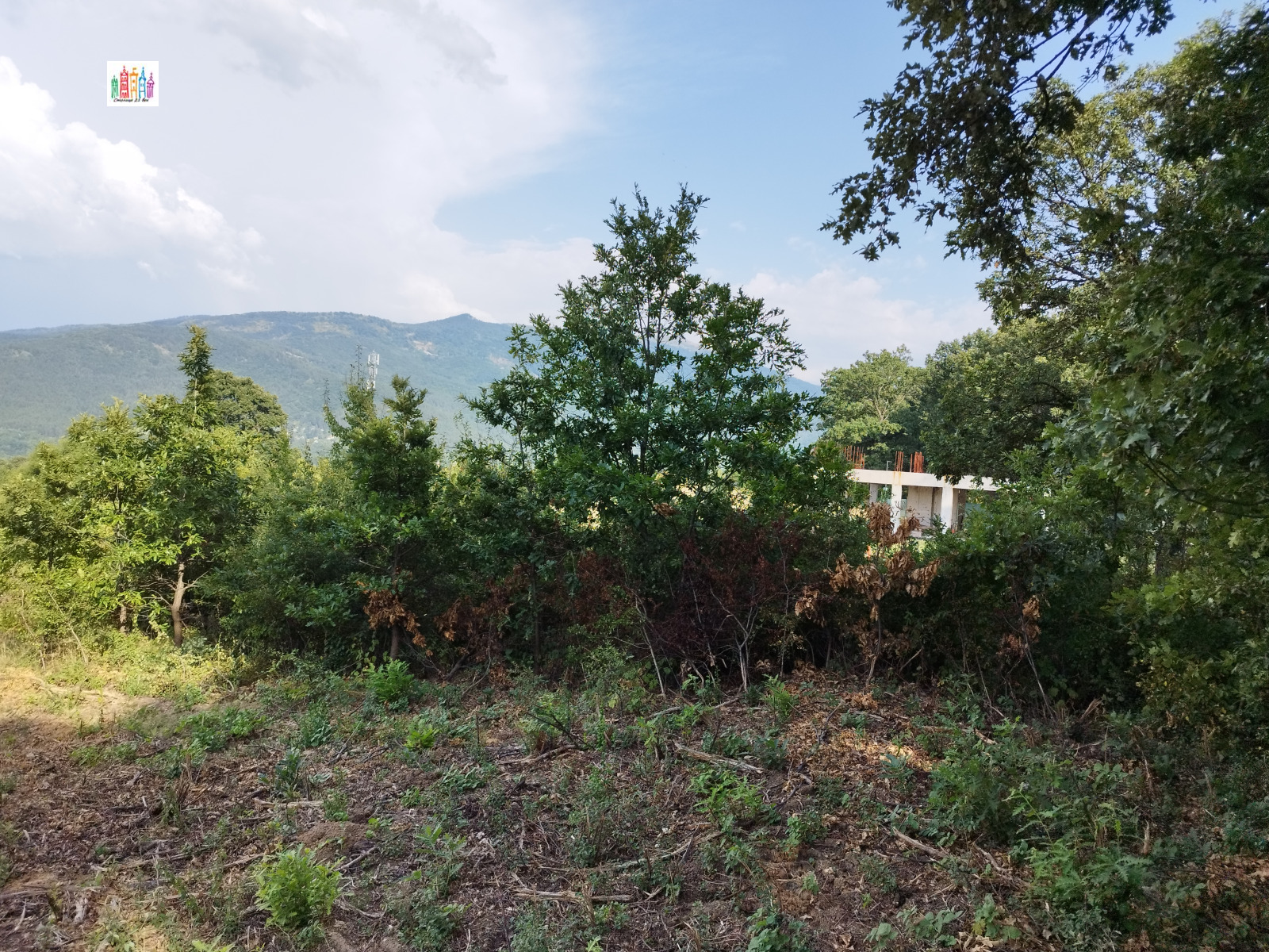 Продава ПАРЦЕЛ, с. Рударци, област Перник, снимка 2 - Парцели - 53704309