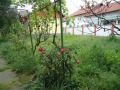 Продава КЪЩА, гр. Бяла Слатина, област Враца, снимка 2