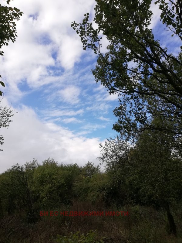 ������� ������ | Imot.bg � ����������� 5