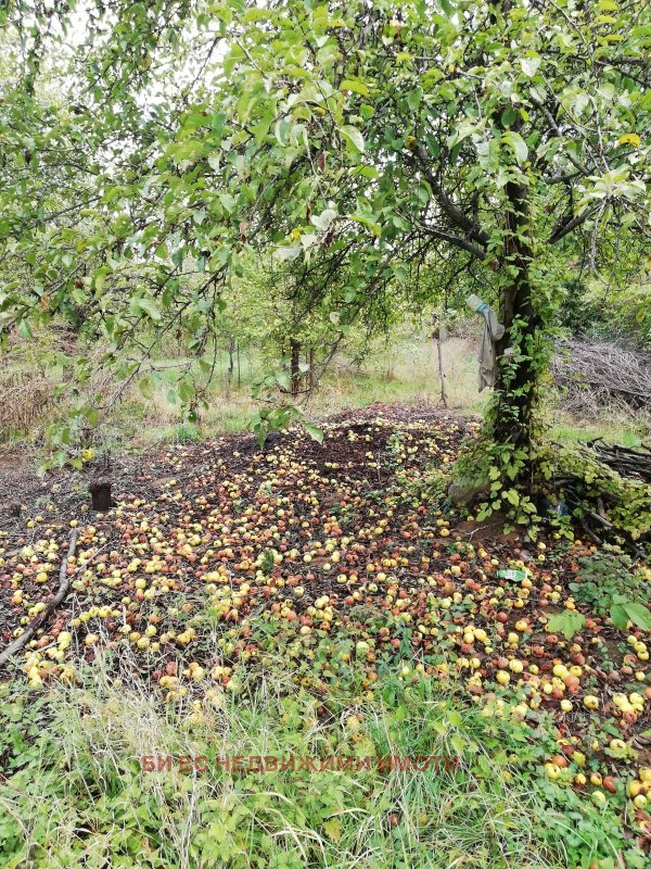 ������� ������ | Imot.bg � ����������� 3