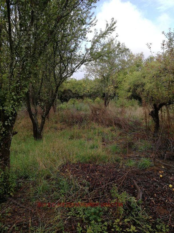 ������� ������ | Imot.bg � ����������� 1