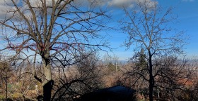 ������� ���� | Imot.bg � ����� ������ 11