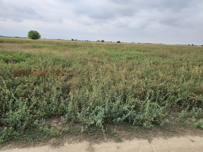 ������� ���������� ���� | Imot.bg � ����������� 6