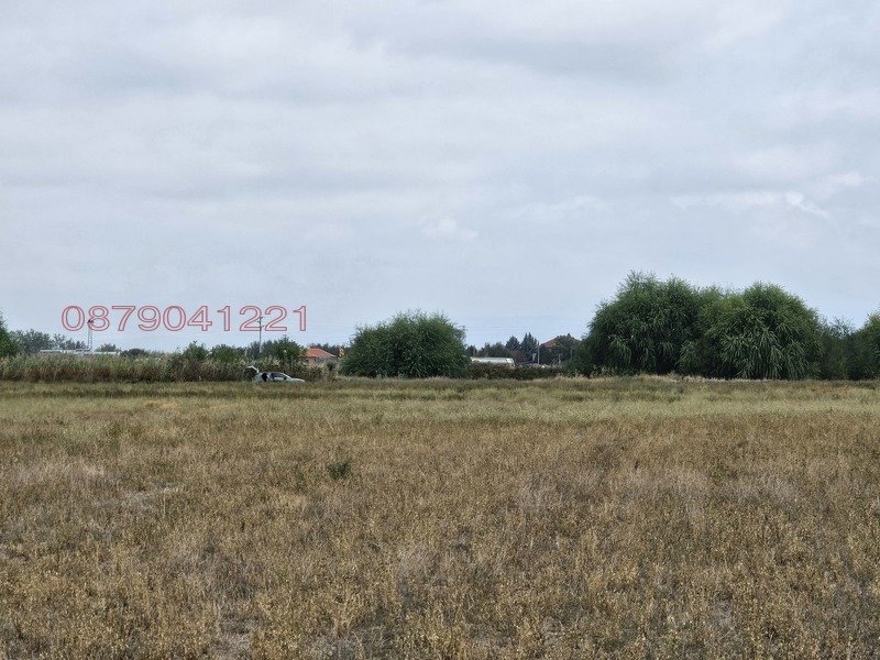 Продава ЗЕМЕДЕЛСКА ЗЕМЯ, с. Калековец, област Пловдив, снимка 9 - Земеделска земя - 53557115