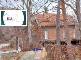 ����� ������� ����,�. �������, ������ ������