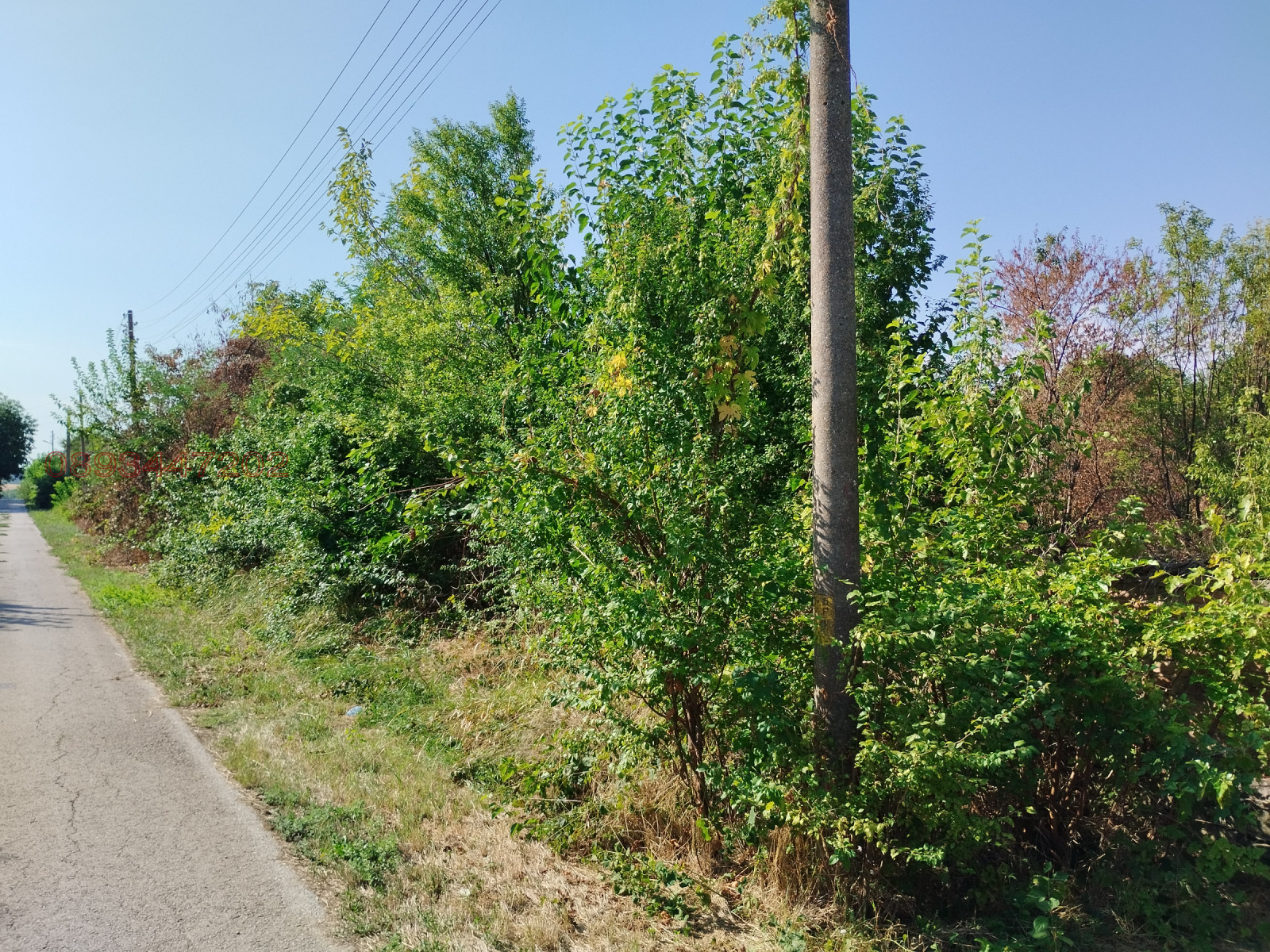 ������� ������ | Imot.bg � ����������� 1