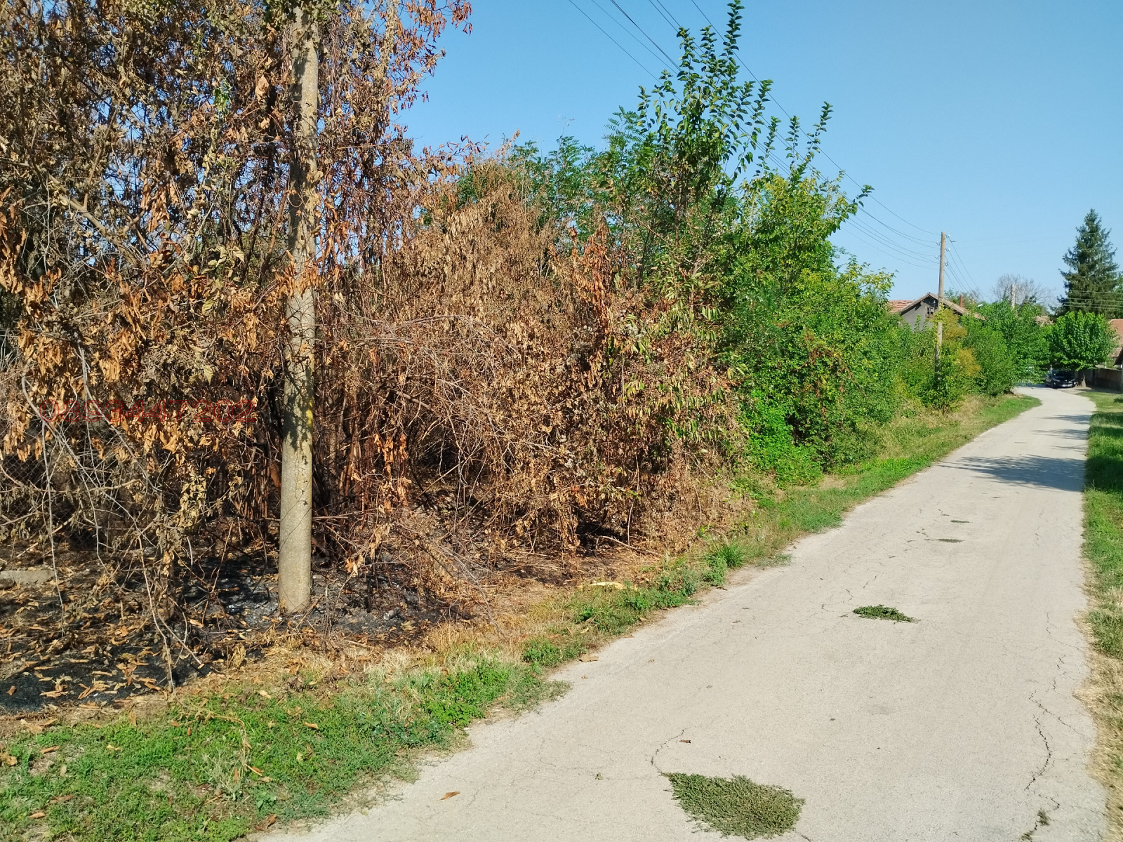 Продава ПАРЦЕЛ, с. Батак, област Велико Търново, снимка 3 - Парцели - 55952474