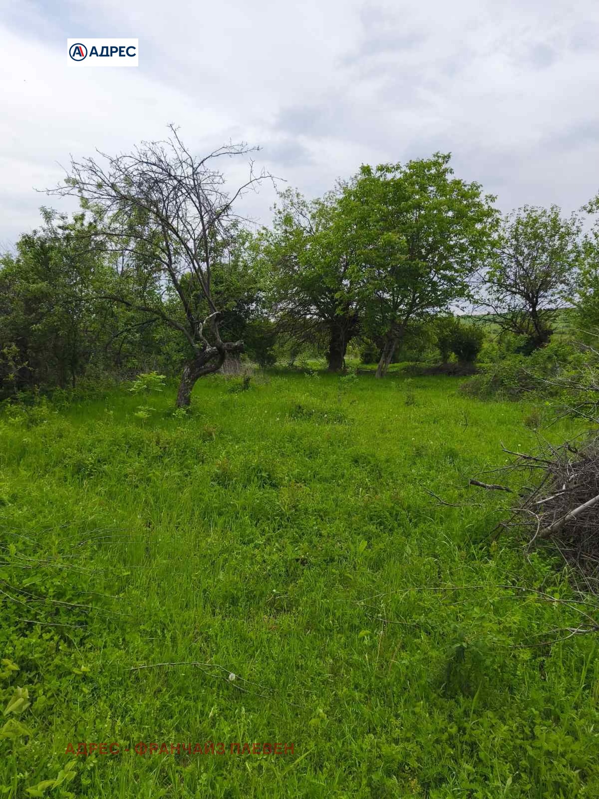 Продава ПАРЦЕЛ | Imot.bg — изображение 5