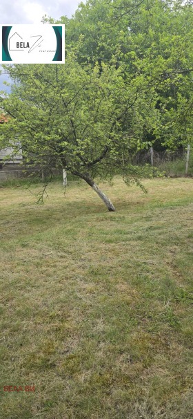 ������� ���� | Imot.bg � ����� ������ 14