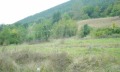 Продава ПАРЦЕЛ, с. Рибарица, област Ловеч, снимка 7