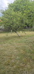 Продава  Вила област Перник , с. Николаево , 42 кв.м | 52418813 - изображение [14]
