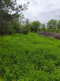 Продава ПАРЦЕЛ, област Враца, с. Баница • 40000 лв. • 47487095 — Holmes.bg