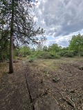 Продава ПАРЦЕЛ, област Враца, с. Баница • 40000 лв. • 47487095 — Holmes.bg