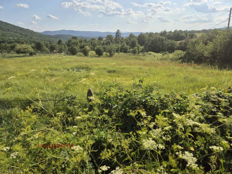 Na prodej  Spiknutí oblast Veliko Tarnovo , Tarkašeni , 1376 m2 | 46579332 - obraz [5]