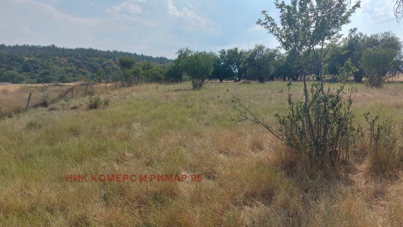 Продава  Парцел област Перник , с. Непразненци , 1200 кв.м | 50358018 - изображение [2]