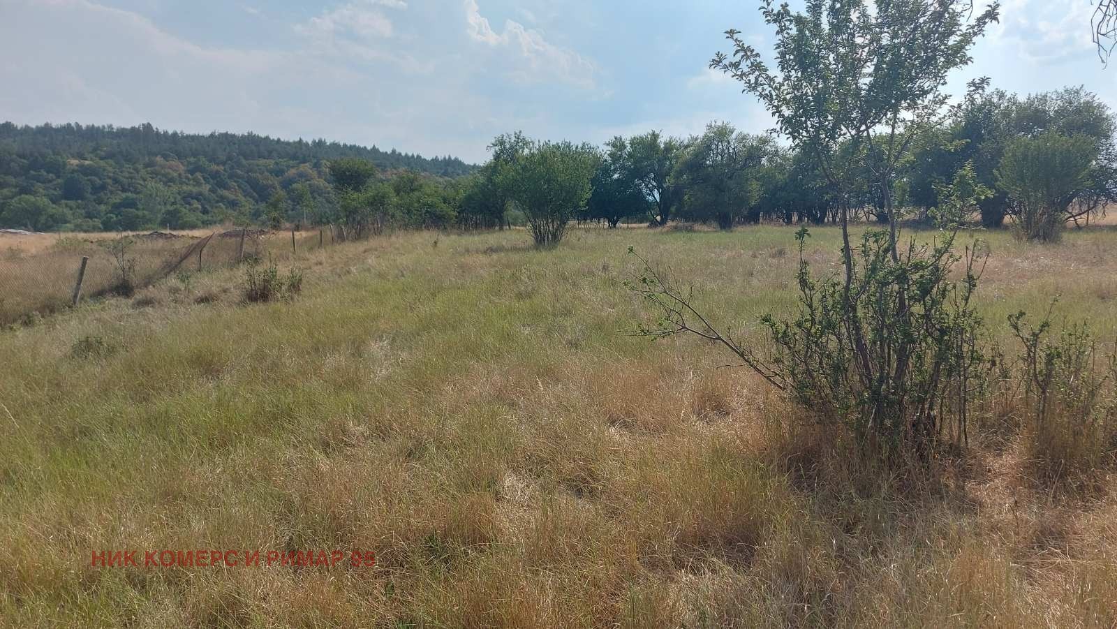 Продава ПАРЦЕЛ, с. Непразненци, област Перник, снимка 2 - Парцели - 51405623