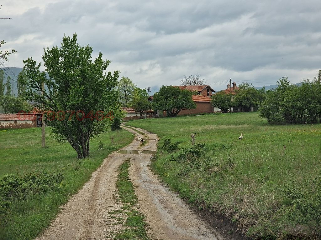 Продава ЗЕМЕДЕЛСКА ЗЕМЯ, с. Егълница, област Перник, снимка 8 - Земеделска земя - 55584479