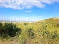 Продава ЗЕМЕДЕЛСКА ЗЕМЯ, с. Ветрен дол, област Пазарджик, снимка 1