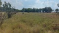 Продава ПАРЦЕЛ, област Перник, с. Непразненци • 50000 лв. • 56992583 — Holmes.bg