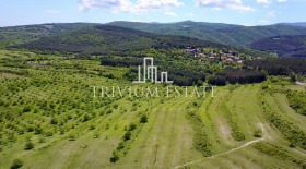 Trama Brestovica, região Plovdiv 13