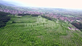 Trama Brestovica, região Plovdiv 10