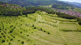 Spiknutí Brestovica, oblast Plovdiv 7