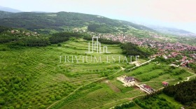 Grund Brestovitsa, region Plovdiv 2