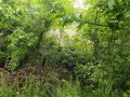 Продава ПАРЦЕЛ, гр. София, гр. Банкя, снимка 6