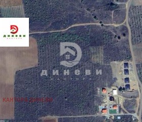 ����� ������� ������,�. ����� �����, ������ ����� ������