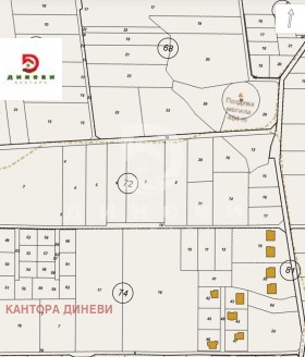 ����� ������� ������,�. ����� �����, ������ ����� ������