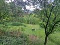 Продава КЪЩА, област София, с. Луково • 135000 € • 27063852 — Holmes.bg