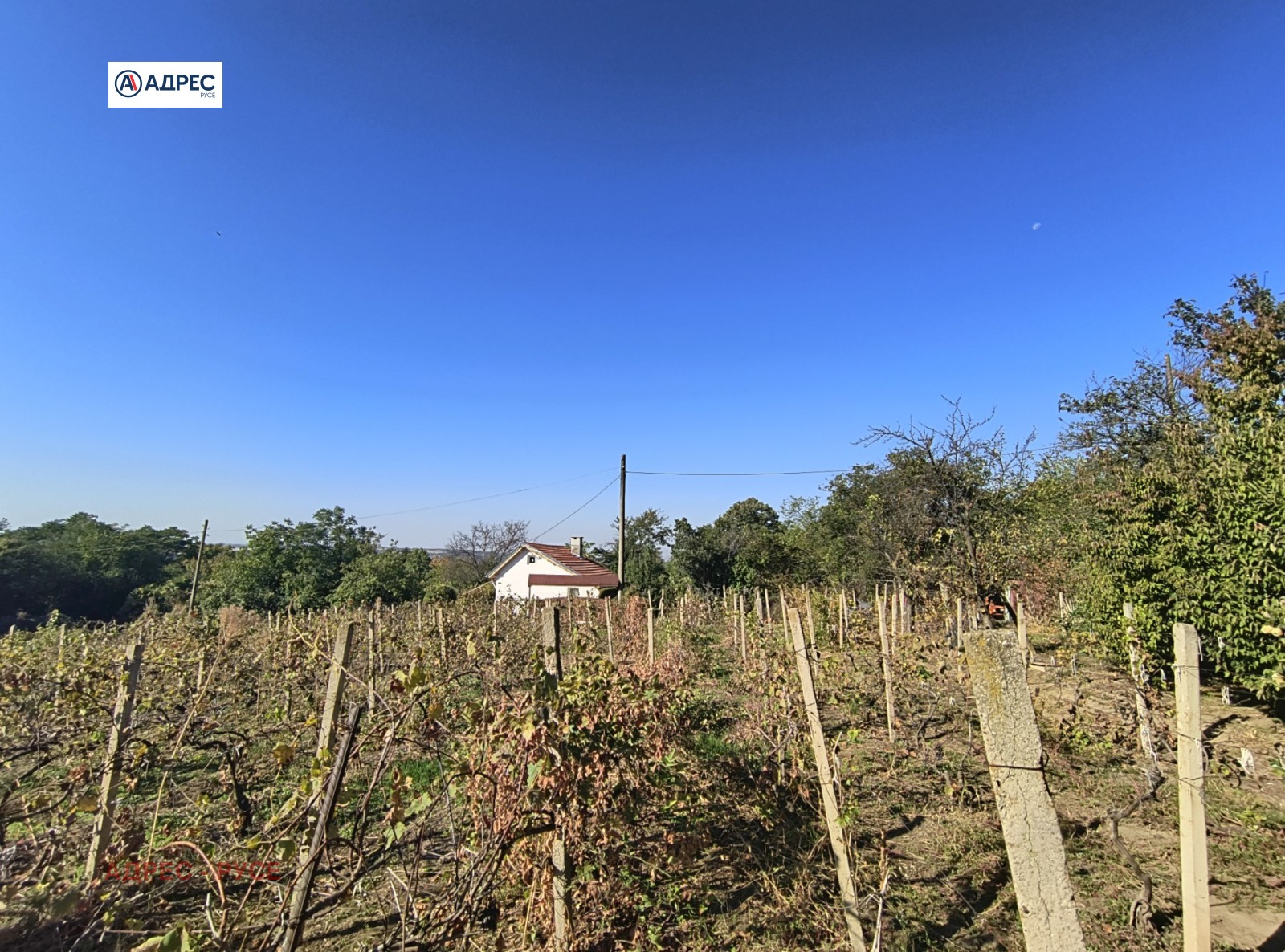 ������� ���� | Imot.bg � ����������� 13