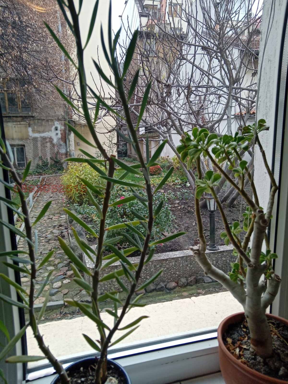 ������� 2-����� | Imot.bg � ����������� 7