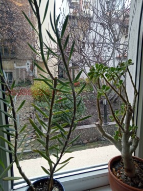 ������� 2-����� | Imot.bg � ����� ������ 7