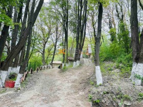 ������� ������ | Imot.bg � ����� ������ 11