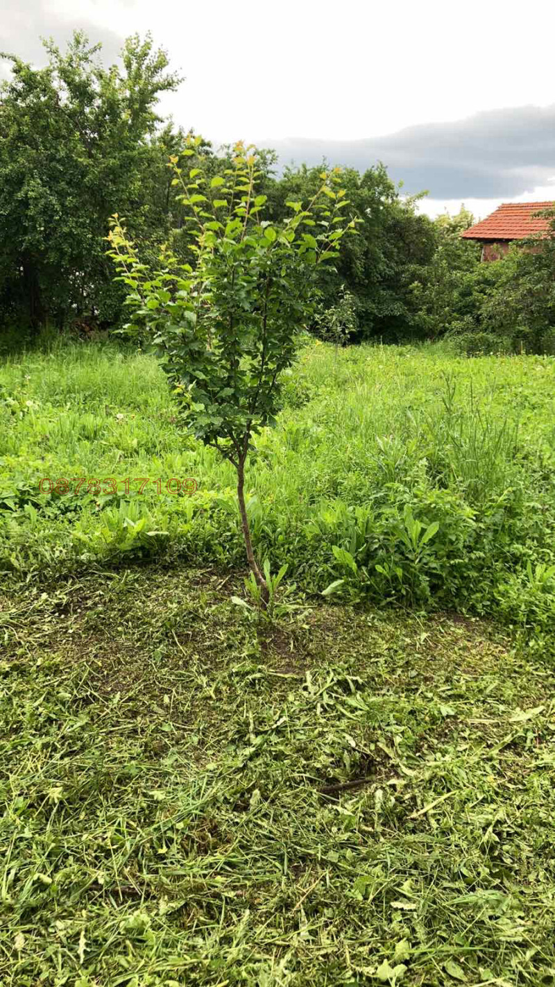 Продава ПАРЦЕЛ, с. Садовик, област Перник, снимка 14 - Парцели - 52784530