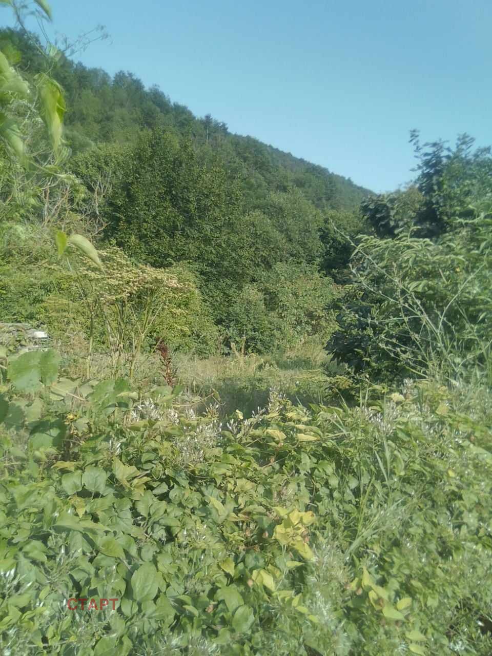 Продава КЪЩА, с. Пчелиново, област Стара Загора