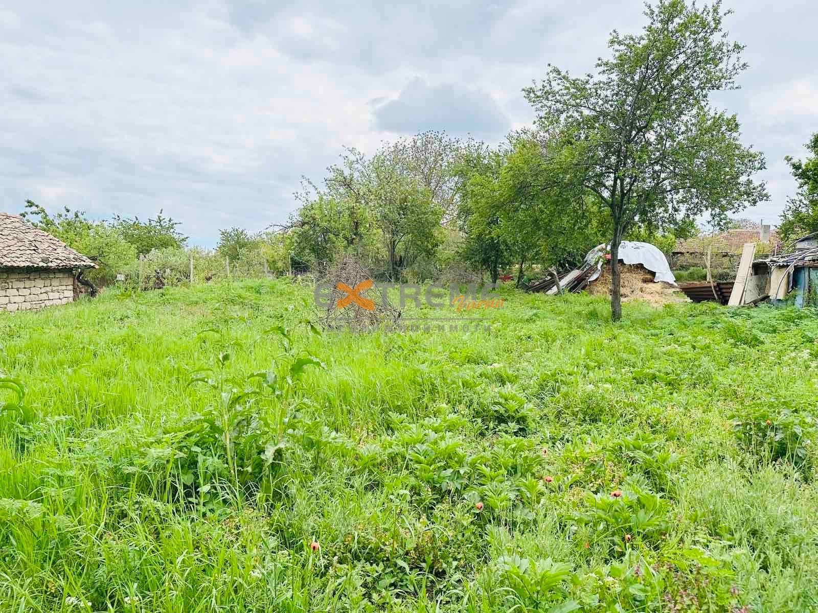 Продава ПАРЦЕЛ, с. Николаевка, област Варна, снимка 2 - Парцели - 56287333