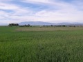 Продава ПАРЦЕЛ, гр. София, с. Подгумер, снимка 3