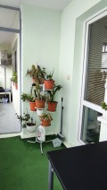 Продава 2-СТАЕН, град Русе, Чародейка - Юг • 74500 € • 27580532 — Holmes.bg