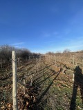 Продава ПАРЦЕЛ, област Пловдив, с. Белащица • 79310 € • 20545958 — Holmes.bg