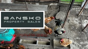 ������� ���� | Imot.bg � ����� ������ 10