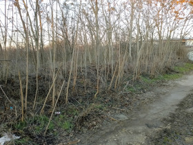 Parcelle Tcherventsi, région Varna