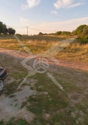 ����� ������� ������,�. �������, ������ ������