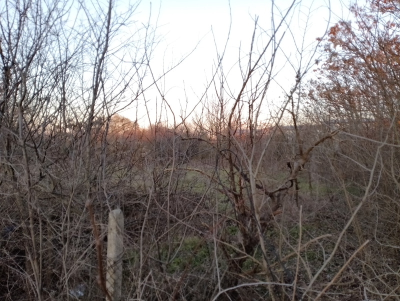 À vendre  Parcelle région Varna , Tcherventsi , 2000 m² | 63379258 - image [6]