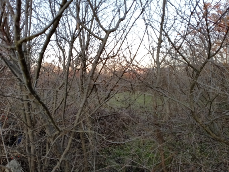 À vendre  Parcelle région Varna , Tcherventsi , 2000 m² | 63379258 - image [10]