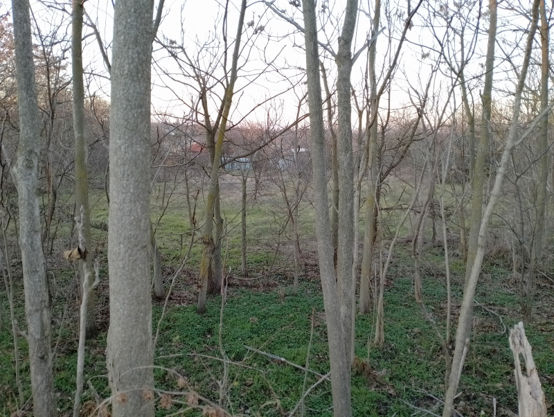 À vendre  Parcelle région Varna , Tcherventsi , 2000 m² | 63379258 - image [8]